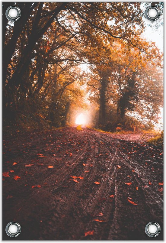 Tuinposter –Herfstig Bospad– 100x150cm Foto op Tuinposter (wanddecoratie voor buiten en binnen)