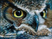 Owl Close UP - Sunsout 1000