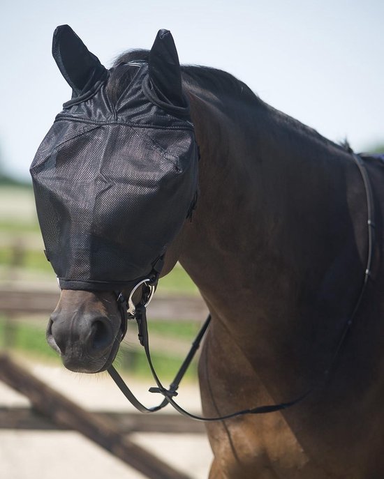 Anti-Vliegenmasker voor paarden QHP