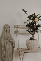 Krijtverf - Vintage Paint - Jeanne d' Arc living - 'Stone Grey' - 2.5 l