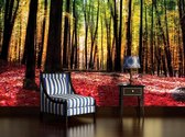 Forest Woods Photo Wallcovering