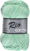 Lammy yarns Rio katoen garen - mint groen (841) - naald 3 a 3,5mm - 5 bollen