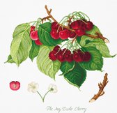 BORDUURPAKKET THE MAY DUKE CHERRY - LUCA-S