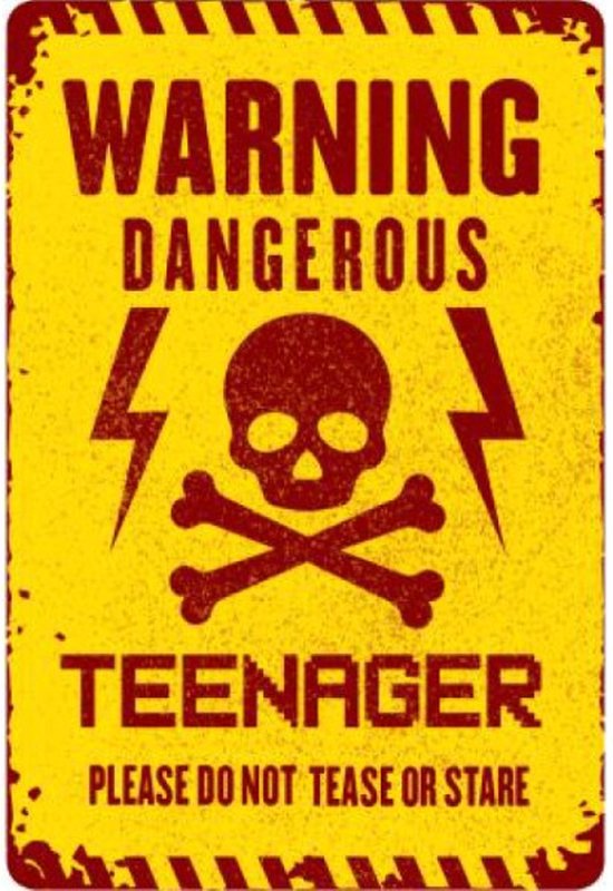 Panneau mural Humour pour chambre Kinder et d'adolescent – ​​Attention adolescent dangereux – Veuillez ne pas taquiner ou regarder