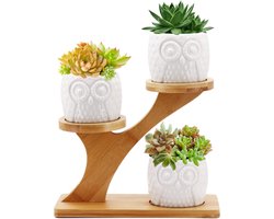 Keramische bloempot met bamboe bakhouder - Succulente plantenpot voor thuiskantoor - Desktop vensterbank decoratie met uil Keramische bloempot met bamboe bakhouder - Succulente plantenpot voor thuiskantoor - Desktop vensterbank decoratie met uil