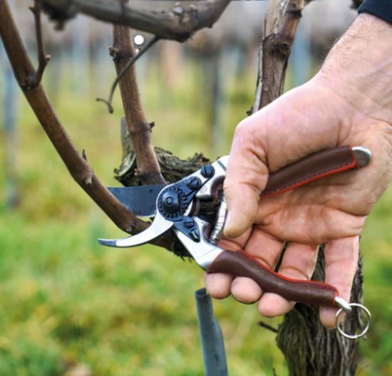 Felco 8 - Elite Snoeischaar van Felco — afbeelding 4