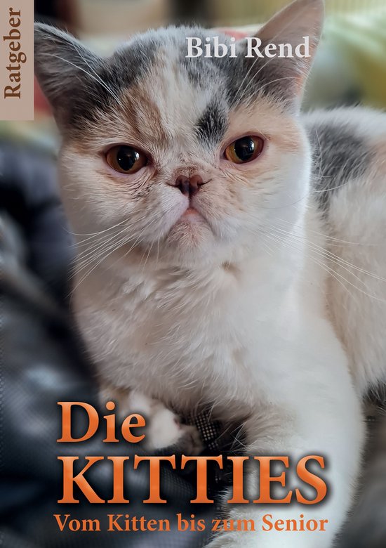 Die Kitties - cover