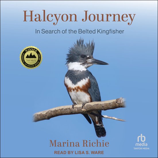 Halcyon Journey - cover