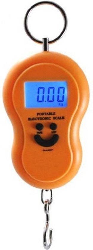 300 kg professionele digitale hangweegschaal, lcd-trekweegschaal, industriële weegschaal, elektronische digitale kraanweegschaal, afleesbaarheid, 0,1