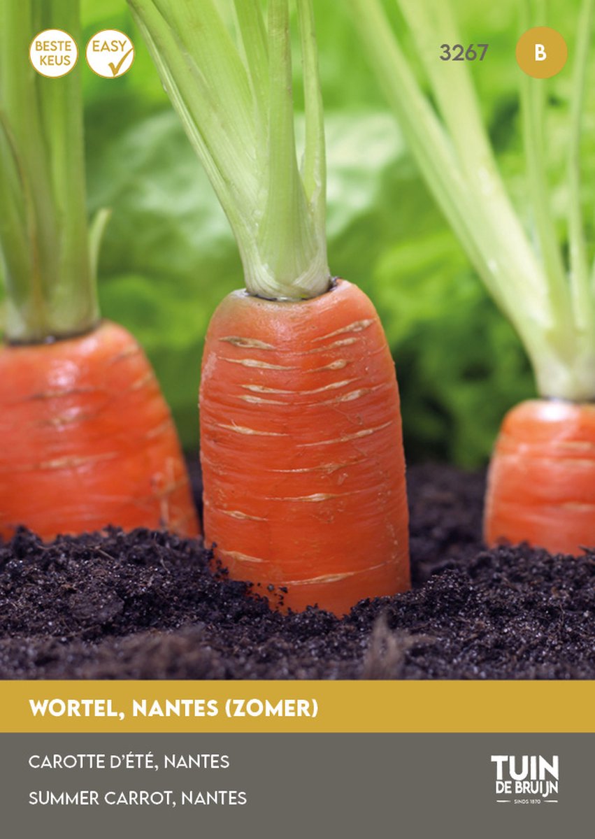 Wortel Nantes Zomerwortel Zaden – Halflange Zoete Wortelen – Groentezaden voor Moestuin & Pot – 1g – Tuin de Bruijn