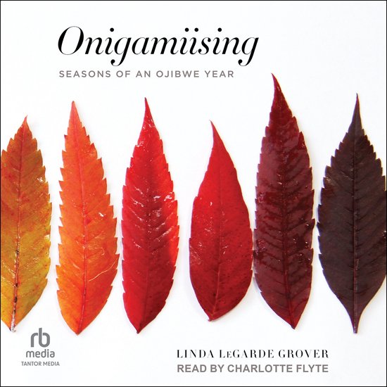 Onigamiising - cover