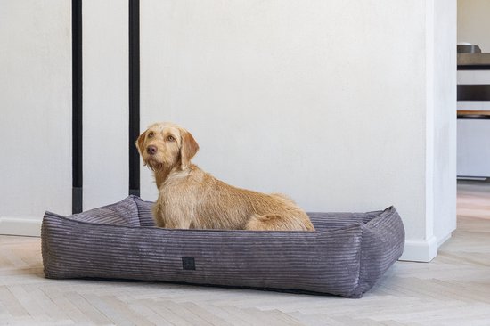 Hond ligt in een bruine ribstof hondenmand.