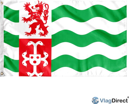 VlagDirect - Drapeau Beekdaelen - Drapeau de la municipalité de Beekdaelen - 90 x 150 cm.