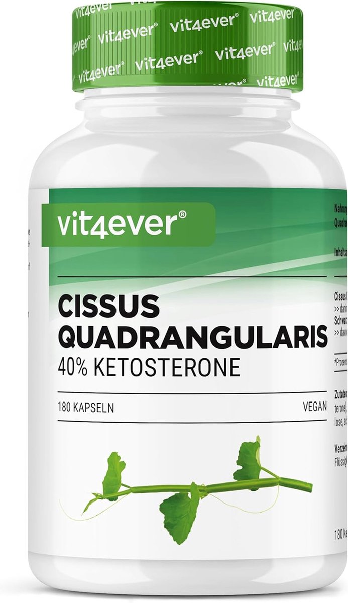 Goedkoopste Cissus Quadrangularis - 180 capsules met 720 mg extract - Premium 40 Ketosteron Zwarte Peper - Hoge Dosis - Veganistisch | Vit4ever