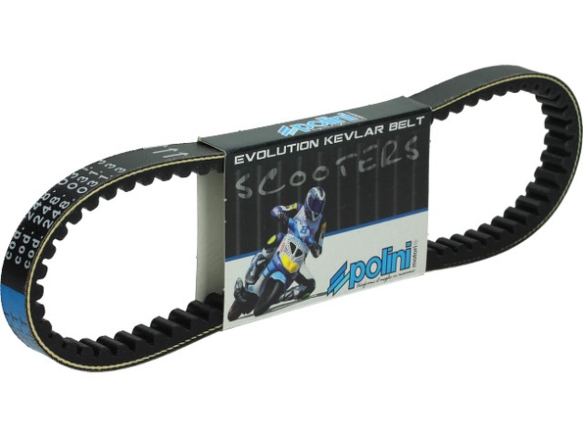 Courroie de transmission Polini pour Scooter Piaggio 50 LX 248.031.3 Neuf