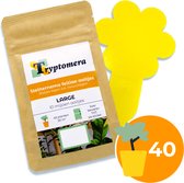 Bruine verpakking met 'Tryptomera Steinernema feltiae aaltjes' en gele bloemvormige vangplaatjes. Cirkel met '40'.