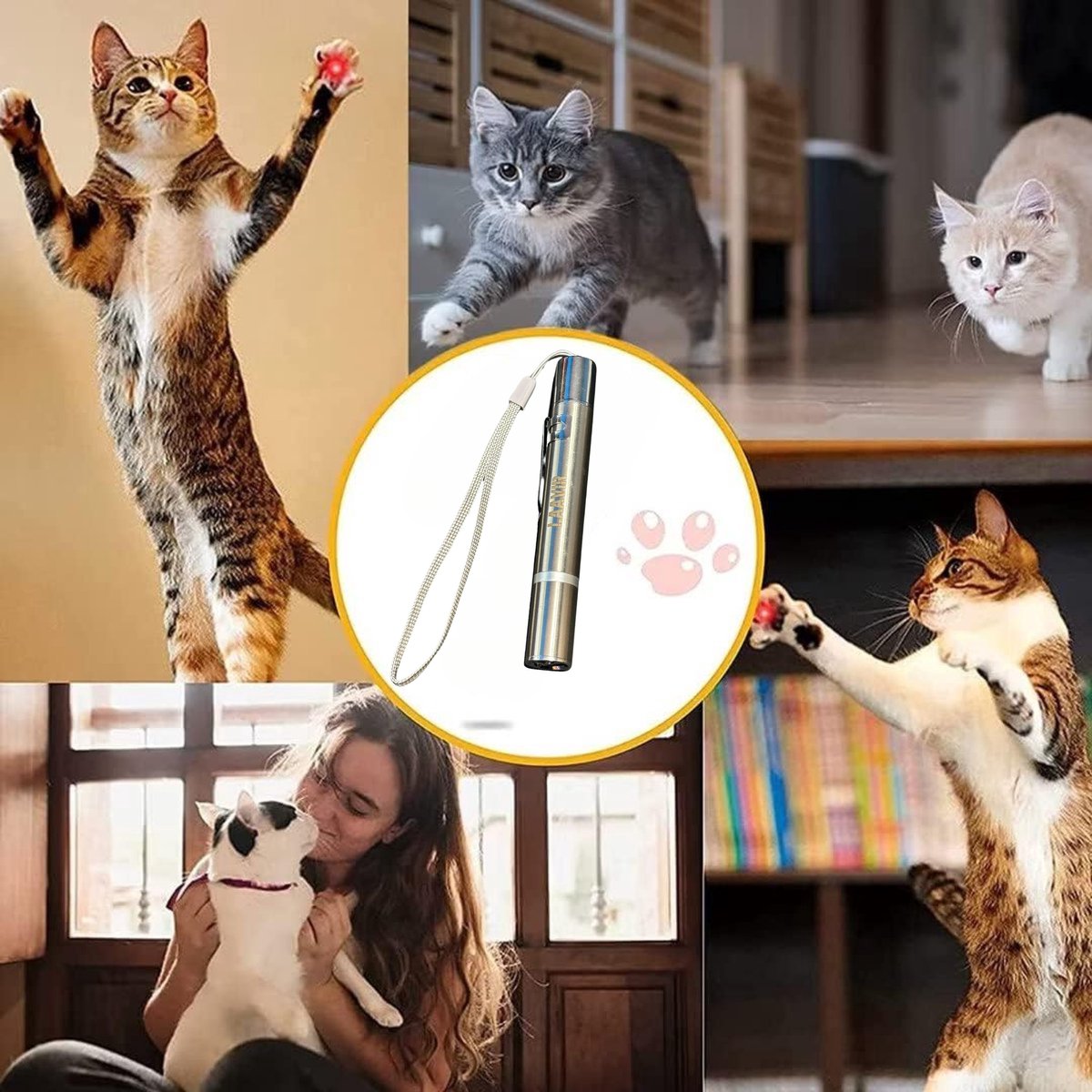 Laavir Laserpen voor Kat en Hond thumbnail 6