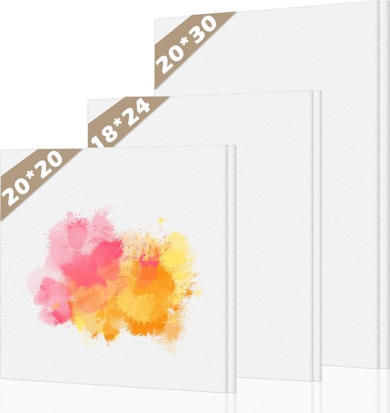 Artina Set van 3 Canvas Schildersdoek 30x80 cm Akademie - FSC