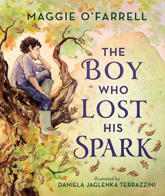 Een jongen met krullend haar zit op een boomtak en kijkt weg. De titel is 'The Boy Who Lost His Spark'.