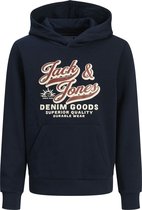 Jack & Jones Junior JCOTIER PRINT CREW NECK - Sweater