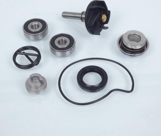 Pompe à Essence Sifam Pour Scooter Honda 125 SH I D Étrier 3 Pistons 2013-2019 - Moteur Immergé Neuf