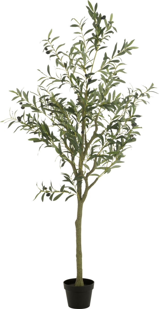 J-Line olijfboom in pot - kunststof - groen - large