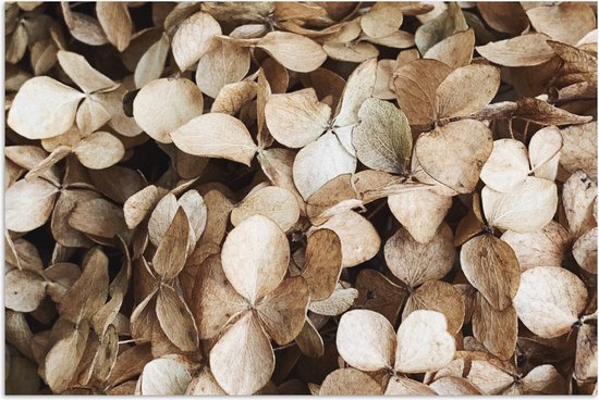 Poster 90x60 cm - Bladeren - Beige - Bruin - Herfst - Posters - Kamer decoratie - Wanddecoratie woonkamer - Muurdecoratie slaapkamer - Kerstversiering - Kerstdecoratie voor binnen - Kerstmis