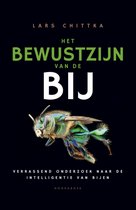 E-book