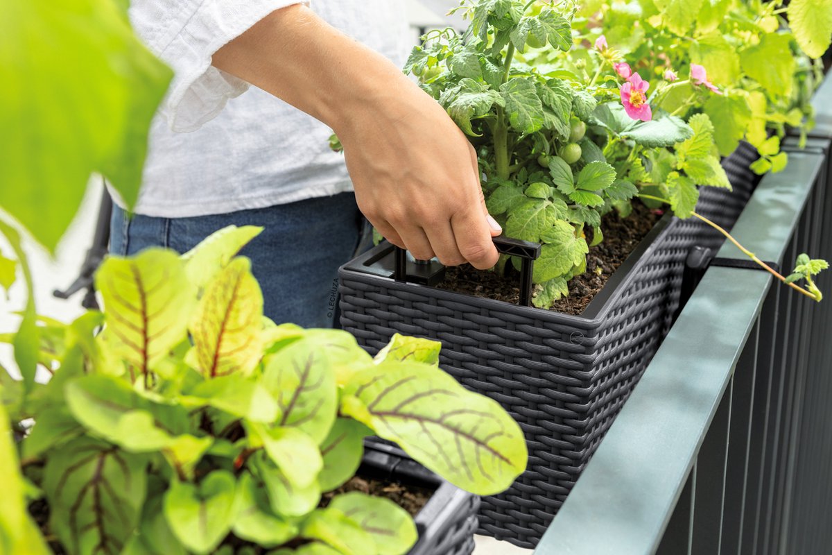 Lechuza Balconera Cottage 50 - Planter - with removable inner pot