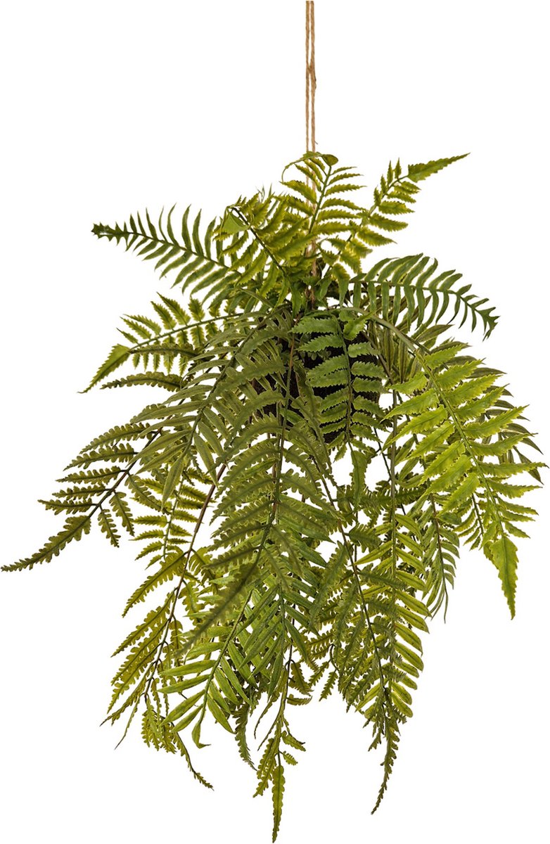 Kunstpalm Kunst Kokodama met Varens | 60cm - Kunst hangplant - Namaak kokodama - Kunstplanten voor binnen - Kunst hangplant varens Donkergroen