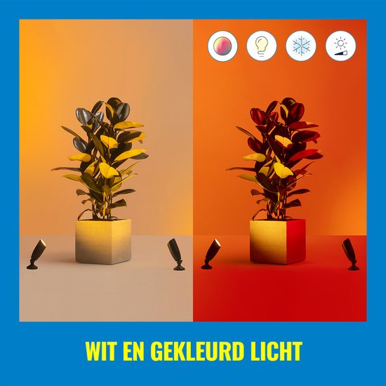 WiZ Outdoor Ground Spot Zwart - Kit d'extension - Smart LED- Siècle des Lumières - Lumière colorée et Wit - 12V