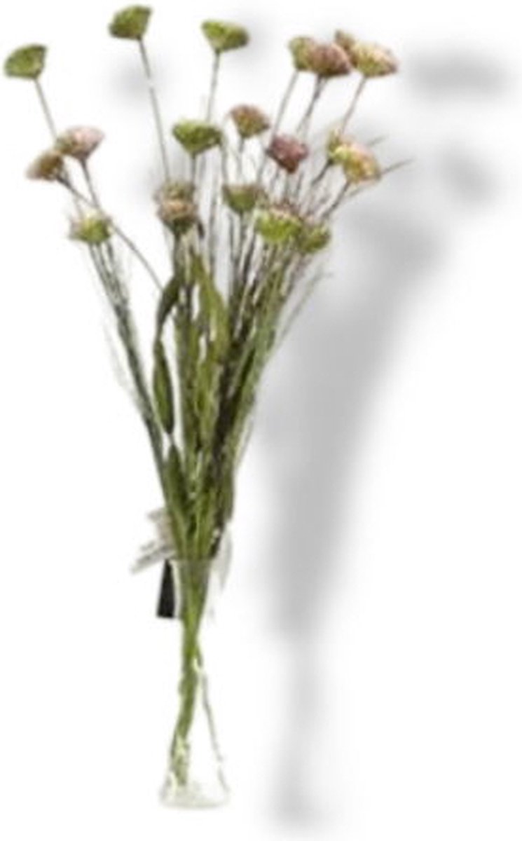 Buitengewoon Boet Kunst Tak Allium Wit/Roze Buitengewoon de Boet driekleurig