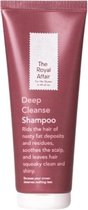 SHAMPOOING NETTOYANT EN PROFONDEUR
