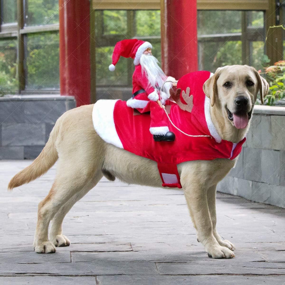 Kerstoutfit voor honden/katten rode kerst outfit met rendiertes en sneeuwvlokken