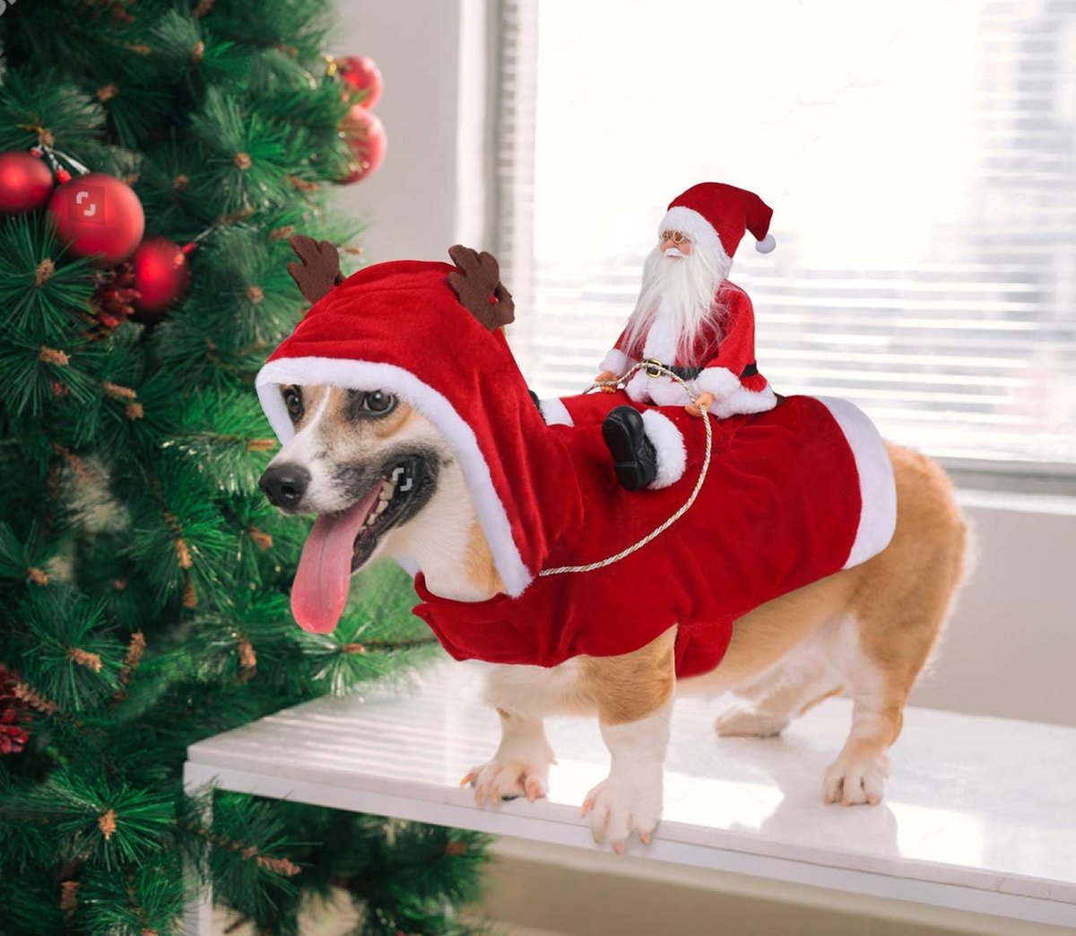 Hondentrui - Kersttrui voor honden - Hond Kerst Outfit - Wolle trui - Warme trui voor dieren - Security - Hond Kerst Kostuum Pak - Voor Kleine Grote Honden Katten — cadeau in Cadeau-ideeën - foto 2