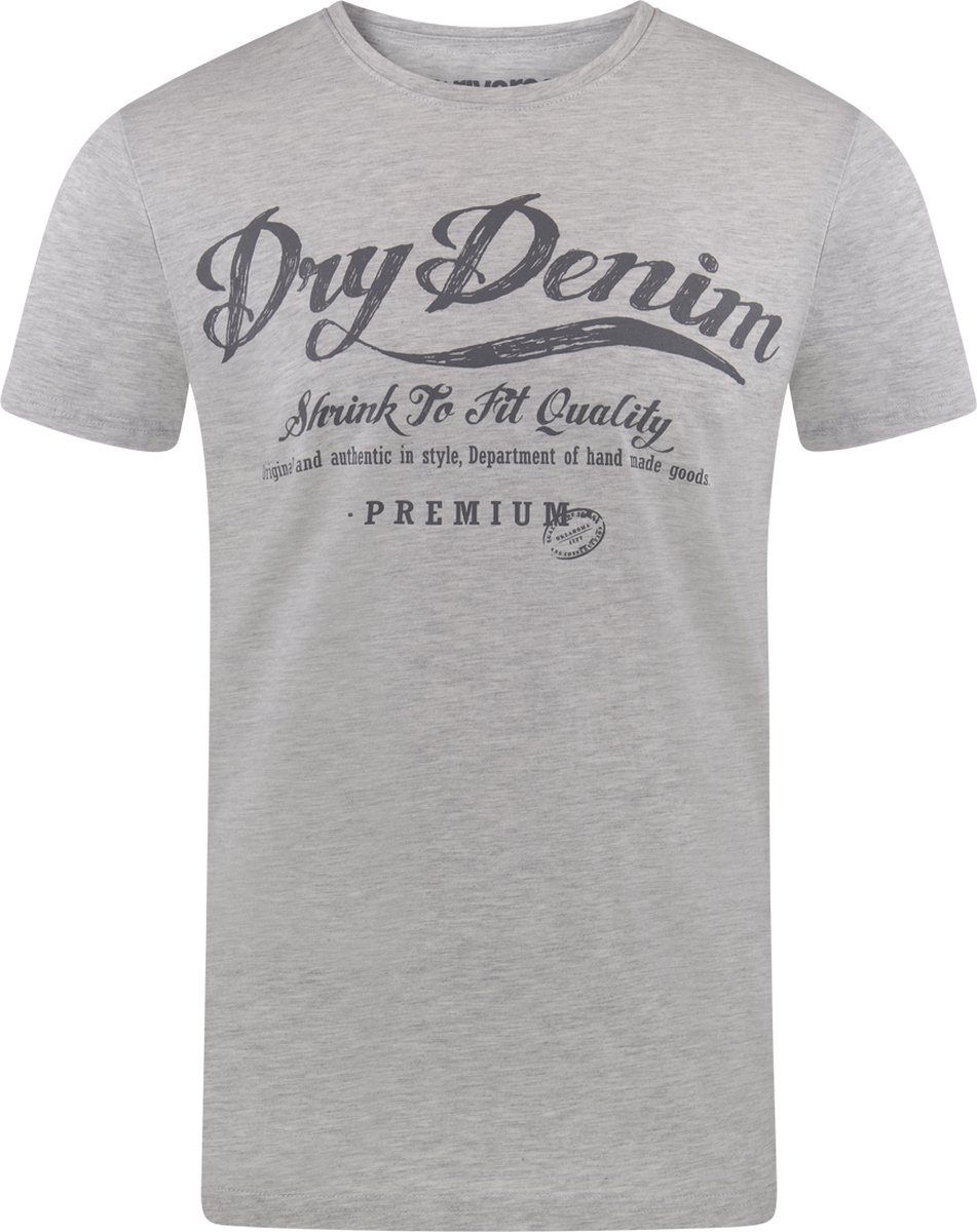 riverso Heren T-Shirt RIVLeon regular fit Grijs S Ronde Hals Volwassenen - gemaakt van 100% katoen