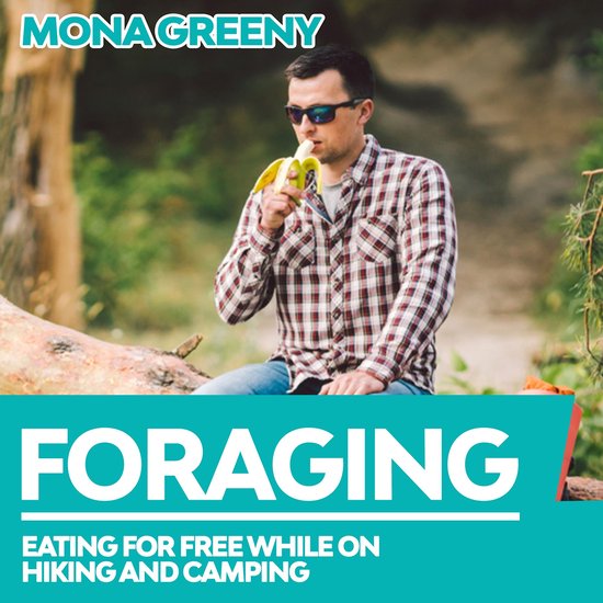 Foraging - cover