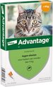 Advantage 40 Vlooiendruppels Kat tot 4 kg - 4 Pipetten