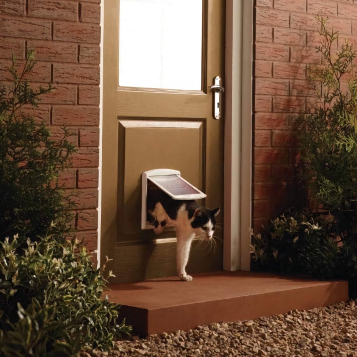 Petsafe 700 Kattenluik thumbnail 4