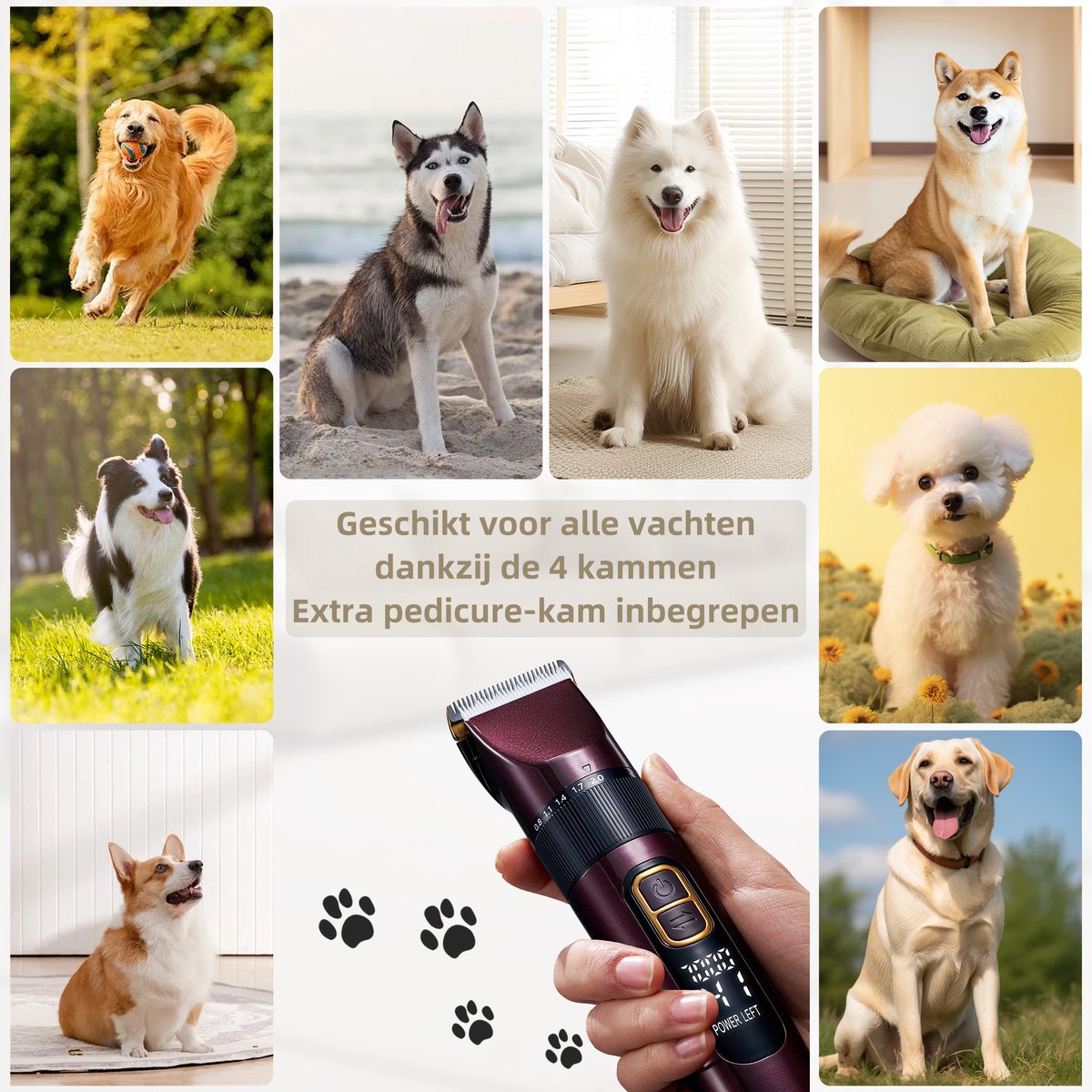 Paw 2 Tail Hondentondeuse - Honden tondeuse - Kattentondeuse - Hondentrimmer - Dikke vacht - Honden trimset - Stil - Pedicurekam - Draadloos thumbnail 4