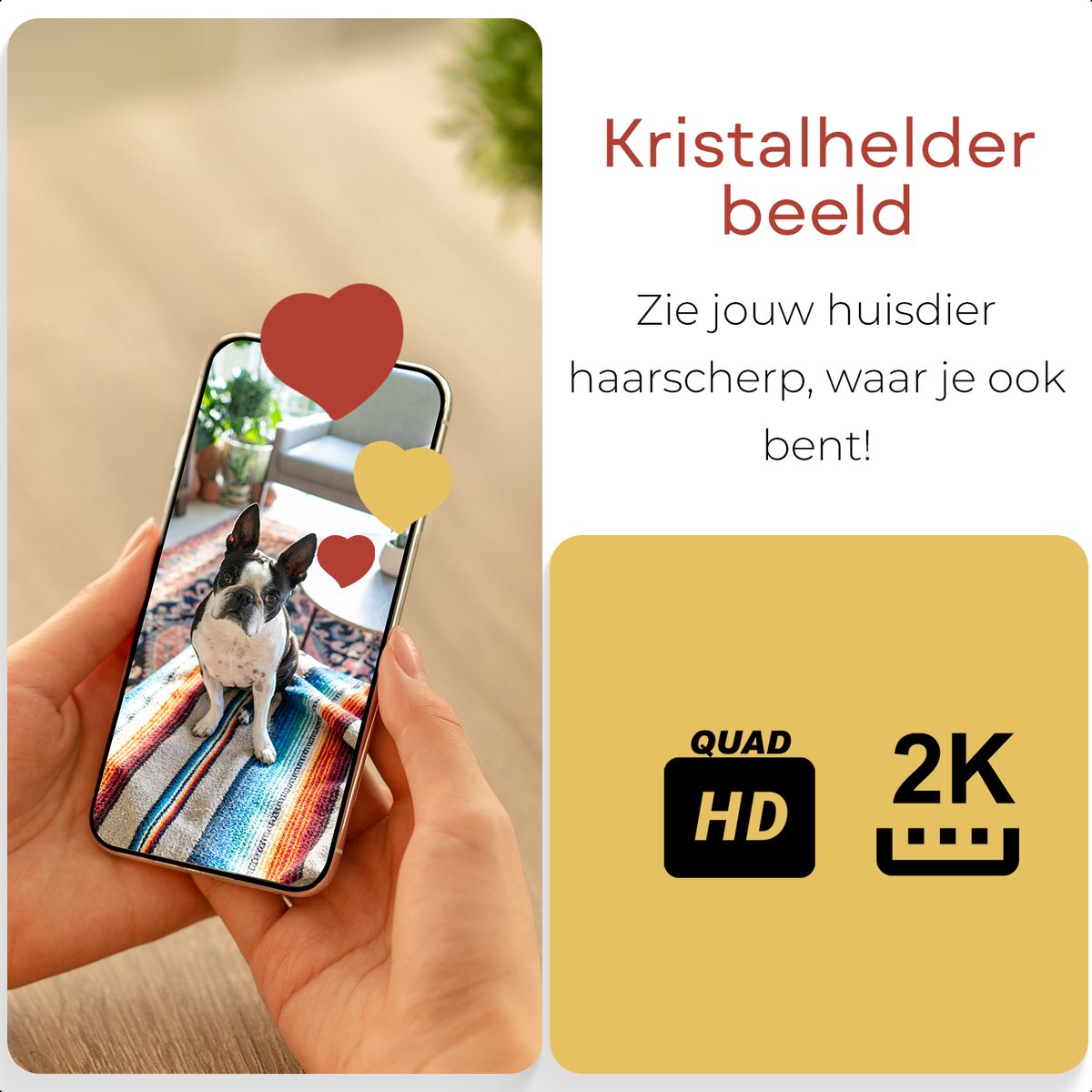 Afbeelding 2 van Camicoo® Beveiligingscamera binnen C200 - Huisdiercamera met app - Hondencamera - Incl. 32GB SD - Petcam - Ultra HD 2K 3MP - Eenvoudige Installatie - Volgt beweging en geluidsdetectie - Alexa, Google Assistant en 5GHz compatibel - Indoor camera - Wit