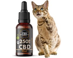 MCT CBD [250mg] - Grote Kat | Pijn - Angst - Stress - Ontstekingsremmend - Bevordert eetlust en beweeglijkheid. Bevat géén THC!