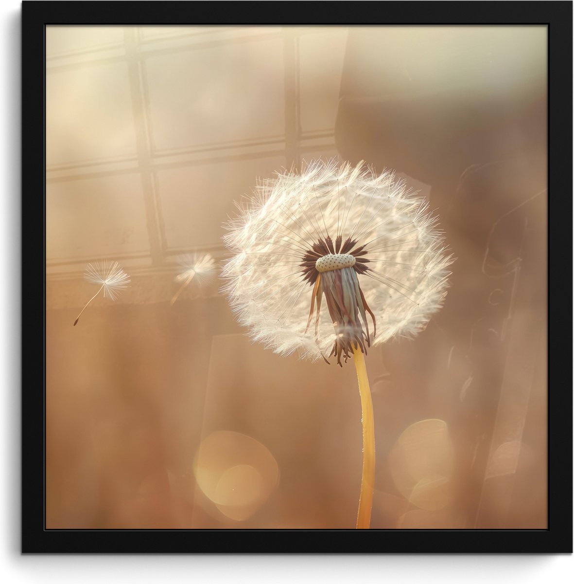 FrameYourWall Poster in lijst - Fotolijst 40x40 cm - Posters - Paardenbloem - Beige - Natuur - Bloem - Posterlijst zwart - Decoratie - Wanddecoratie woonkamer - Muurdecoratie slaapkamer