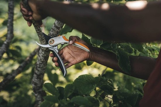 Kwaliteit Snoeischaar voor Precisie Snoeien in de Tuin van DeWit — afbeelding 4