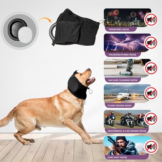 crear delicado humedad oorbeschermers voor honden taller sextante café