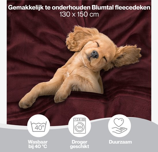 Liggende puppy op een bordeauxrode deken. Iconen: wasbaar op 40°C, geschikt voor de droger, duurzaam.