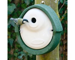 CJ Wildlife Nestkast - Aanbevolen door de Vogelbescherming Nederland - Alicante - 28mm - Nestkastje voor o.a. Pimpelmees & Zwarte Mees - Woodstone Vogelhuisje - FSC-gecertificeerd - Groen