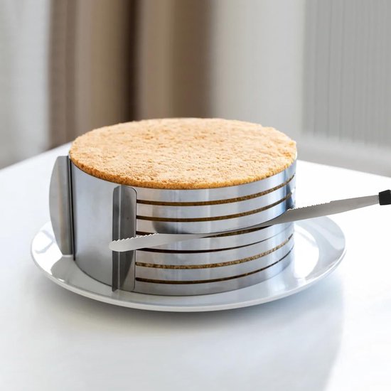 FutureHight 10 stuks roestvrijstalen mousse ringen ronde koekjessnijders cakevorm keuken bakken gebak gereedschap voor taart, fondant