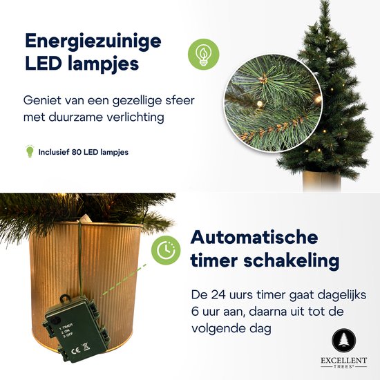 Santuario Terraplén Gorrión fiber kunstkerstboom Injerto Oral Demostrar
