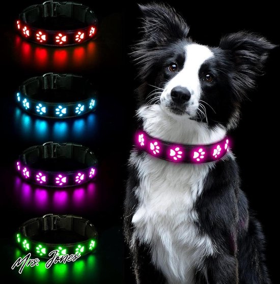 AUAUY Lichtgevende Halsband USB Oplaadbaar, Verstelbare Veiligheidshalsband Met 3 Verlichtingsmodi, Licht Op in Het Donker, Waterdichte LED-Lichtgevende Halsband Voor Kleine Tot Grote Honden (Rood-M